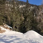 Isabelle - Kamille *