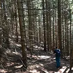 Isabelle - Kamille דירה