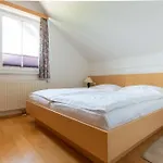 Isabelle - Kamille פרסגרזי