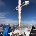 Isabelle - Kamille *