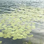 Isabelle - Kamille דירה *