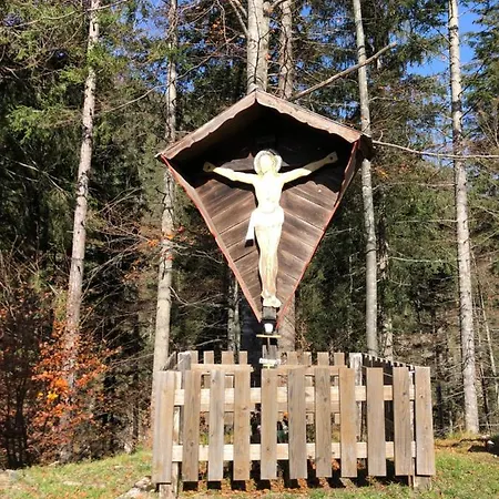 Isabelle - Kamille *