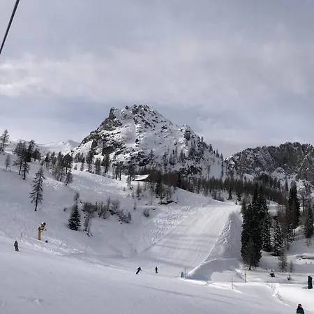 Appartement Isabelle - Kamille Presseggersee