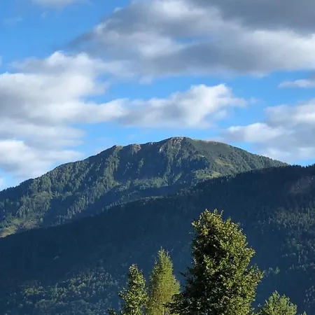 Isabelle - Kamille * Presseggersee