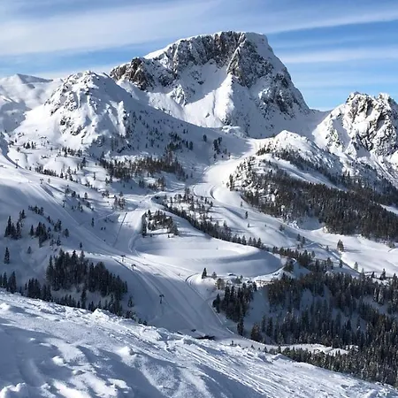 Isabelle - Kamille * Presseggersee