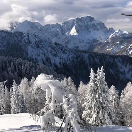 Isabelle - Kamille * Presseggersee