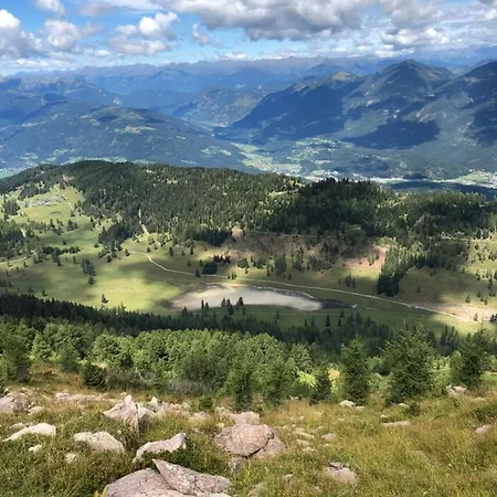 Isabelle - Kamille *