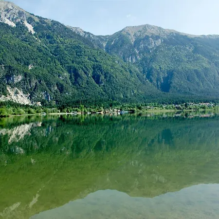 Isabelle - Kamille * Presseggersee