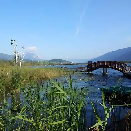 Isabelle - Kamille *