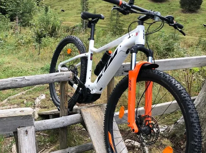 Isabelle - Kamille פרסגרזי