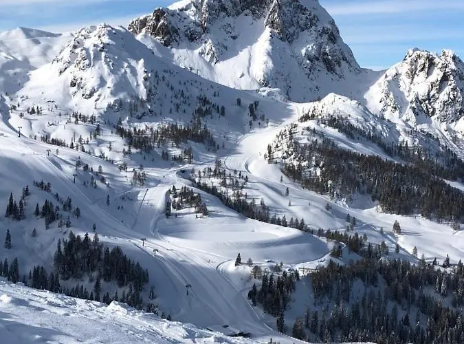 Isabelle - Kamille * פרסגרזי