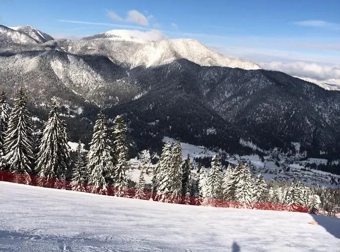 Isabelle - Kamille * פרסגרזי