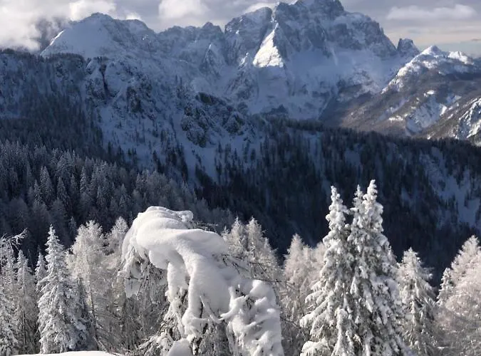 Isabelle - Kamille * פרסגרזי