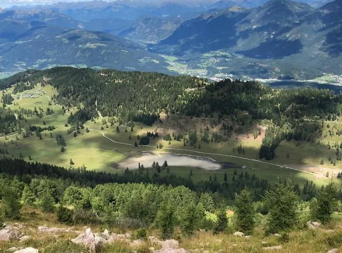 Isabelle - Kamille *