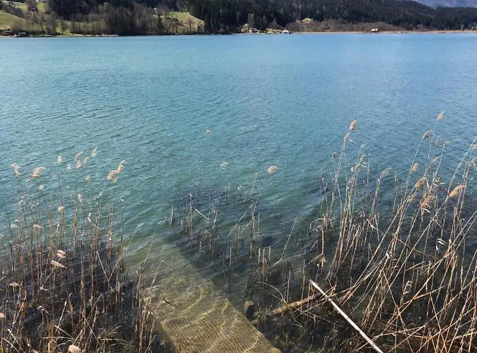 Isabelle - Kamille דירה *