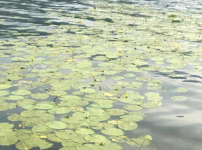 Isabelle - Kamille דירה פרסגרזי