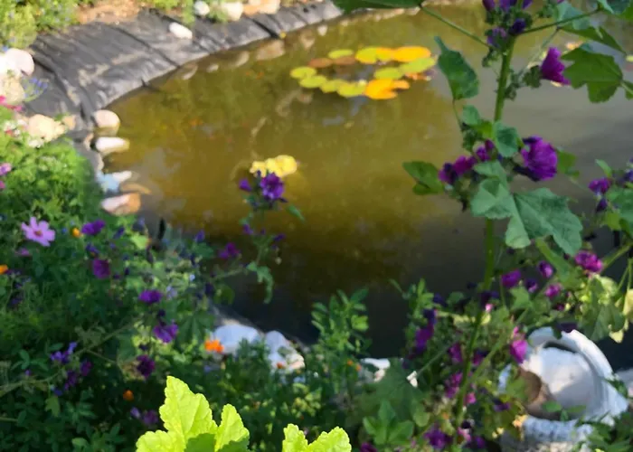 Isabelle - Kamille דירה