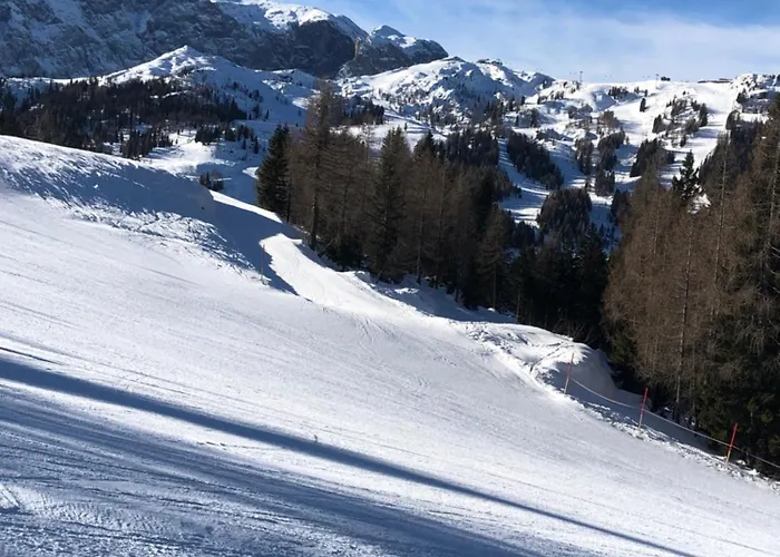 Isabelle - Kamille * פרסגרזי