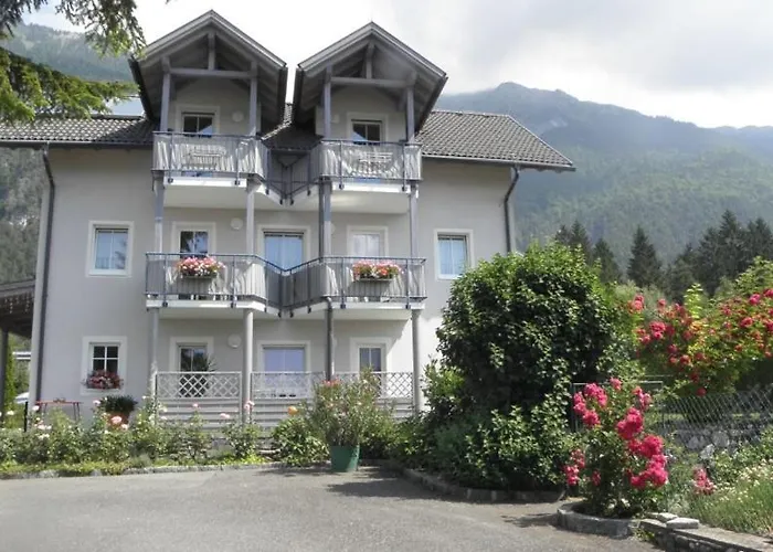 Isabelle - Kamille פרסגרזי