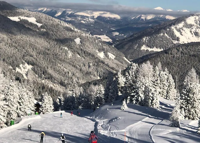 Isabelle - Kamille * פרסגרזי