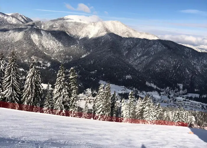 Isabelle - Kamille Apartamento