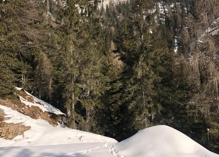 Isabelle - Kamille *