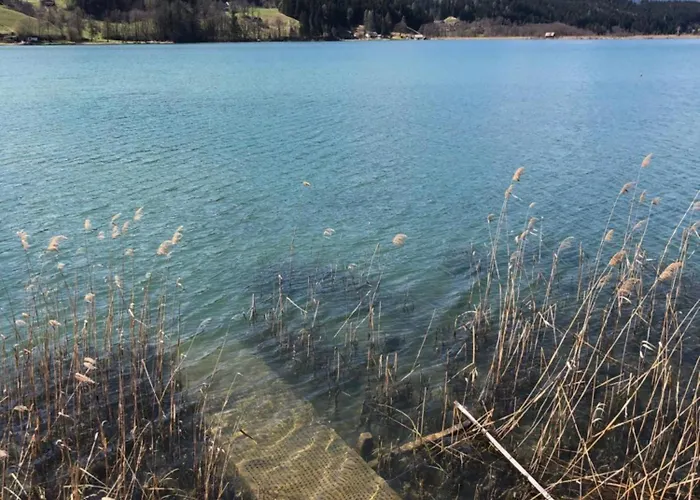 Apartment Isabelle - Kamille