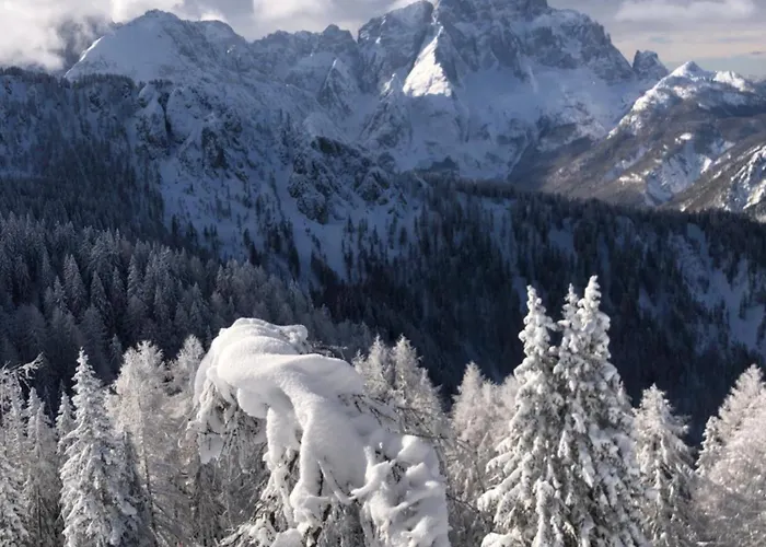 Isabelle - Kamille *