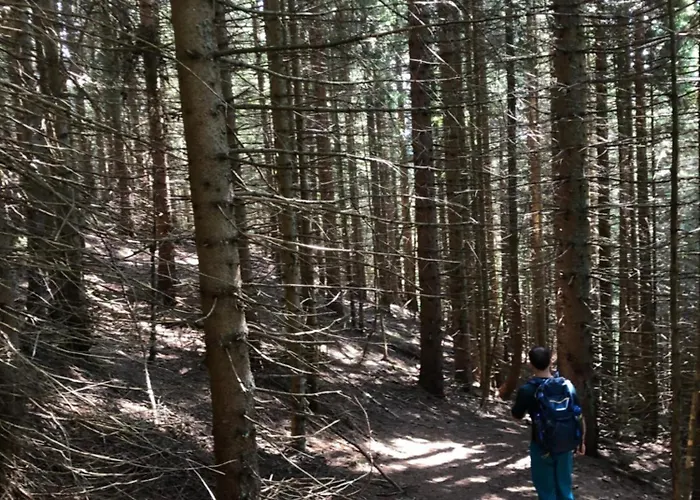 Isabelle - Kamille Apartamento