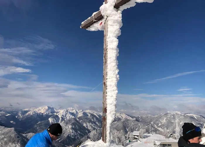 Isabelle - Kamille *