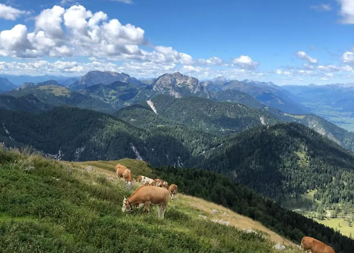 Isabelle - Kamille Apartamento *