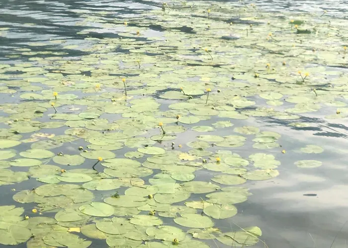 Isabelle - Kamille Apartamento *