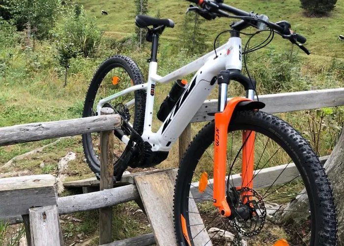 Apartamento Isabelle - Kamille Presseggersee